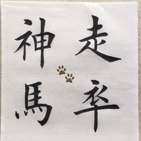 走卒🌸神马
