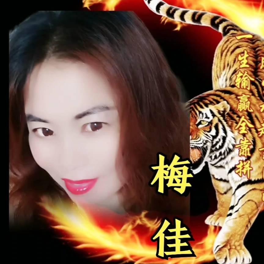 单身女人的生活