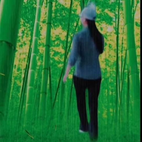 竹林听雨726