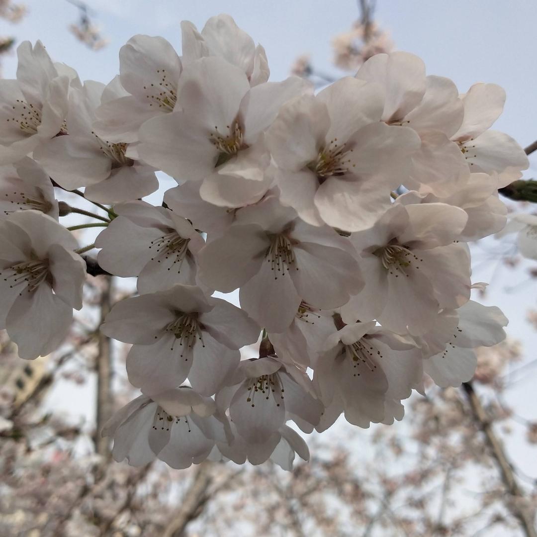 安哥爱生活爱旅游