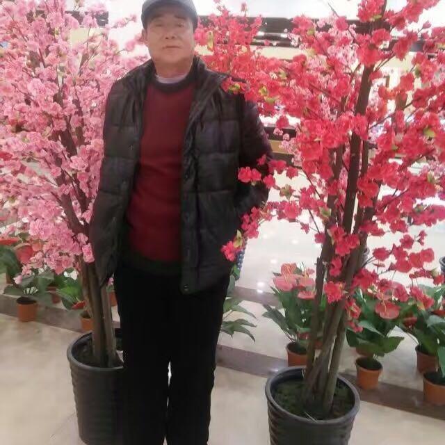 青云直上