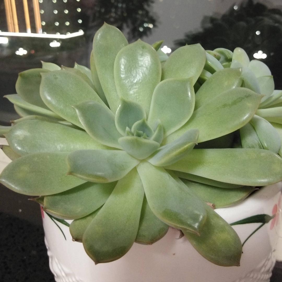 心心念念