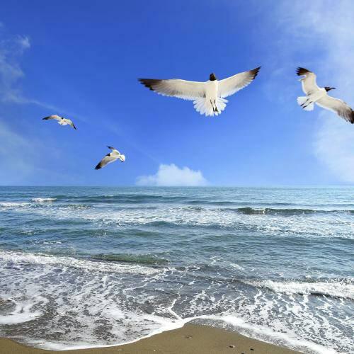 海阔天空。