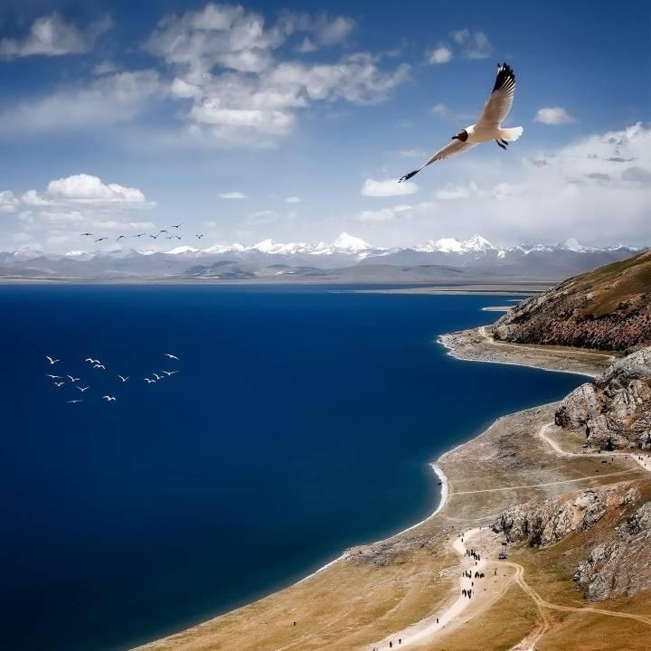 谈谈小学 、初中学习方法的李老师