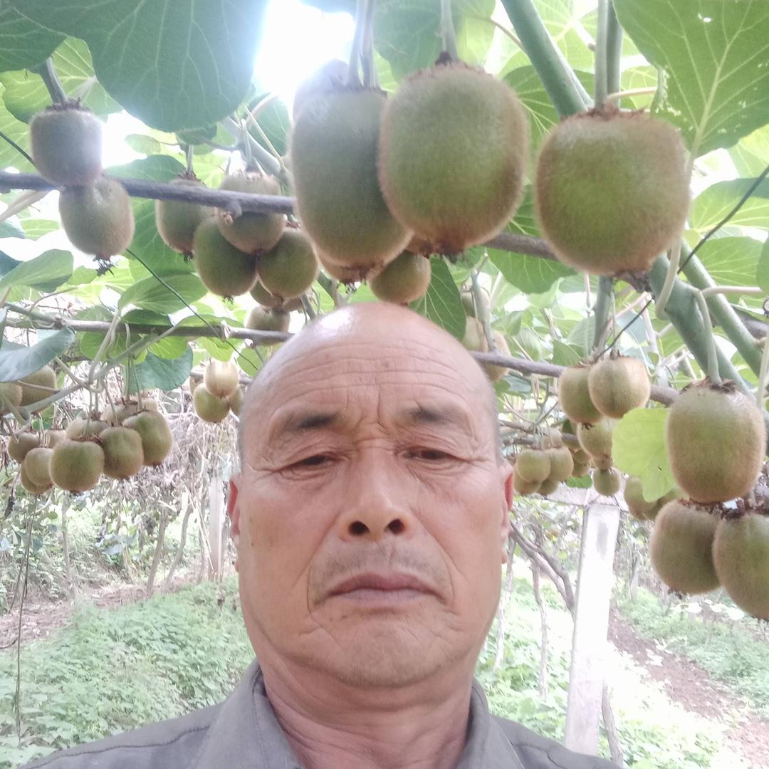 麒麒爷爷（晚19：10分开播）