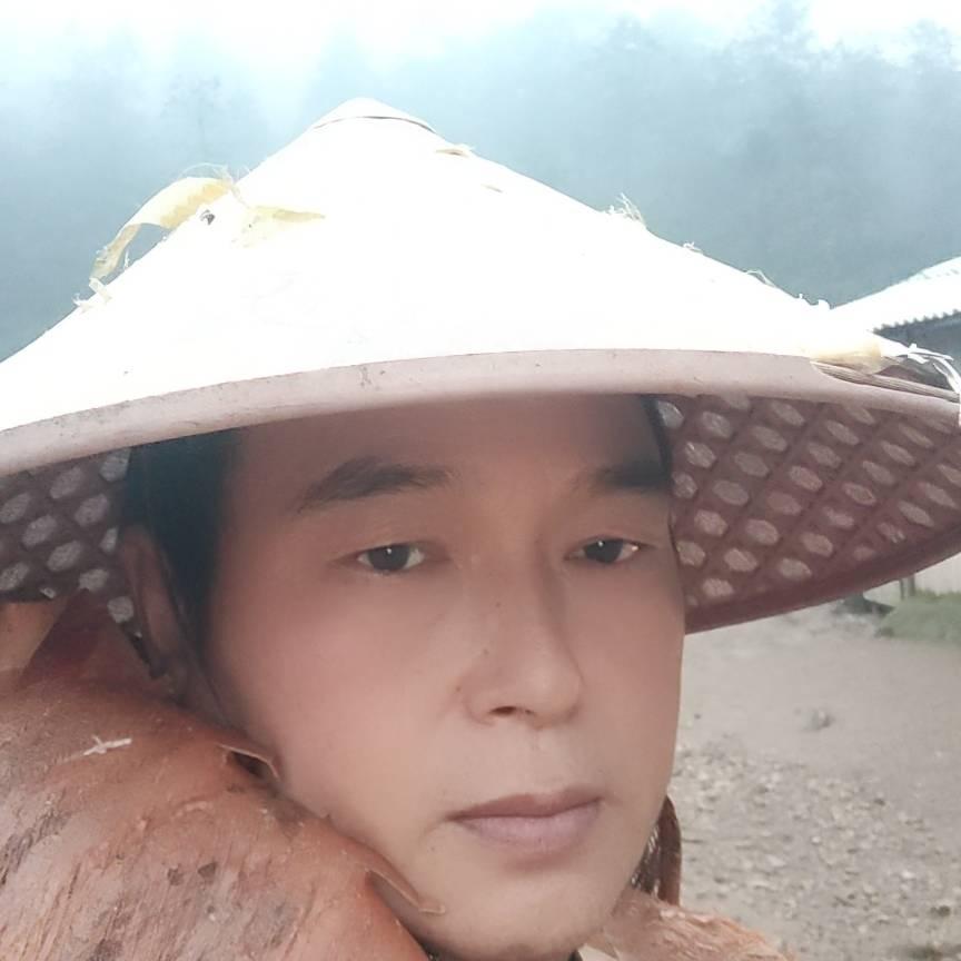 猪哥哥