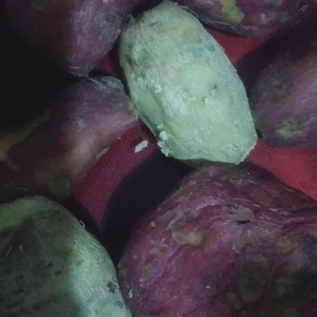 用户25277341