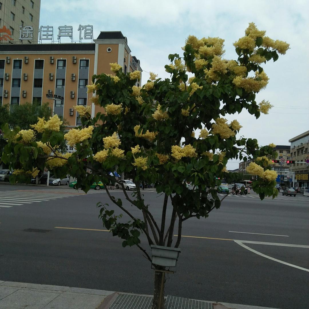 $泽润$