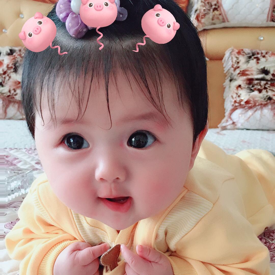 开心果乐淘