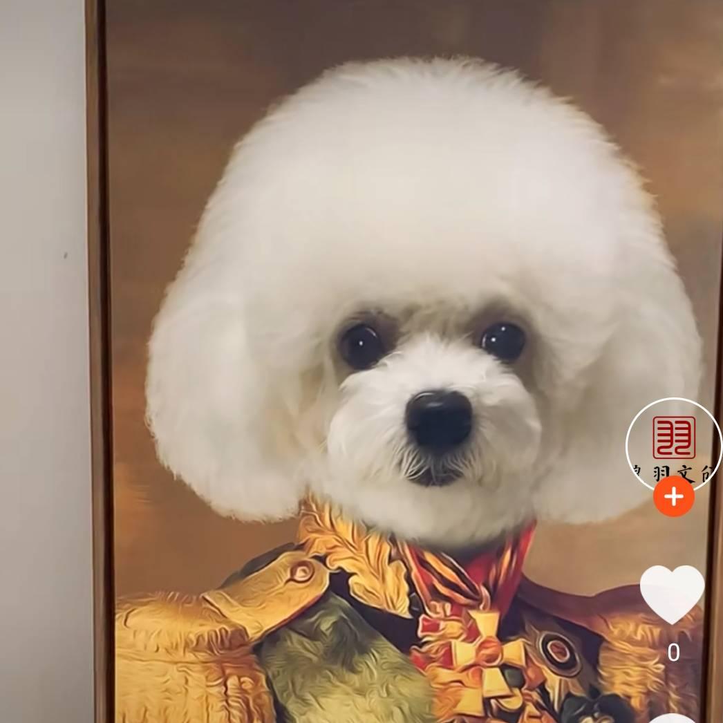 酒醉桃花岛🙏🤑