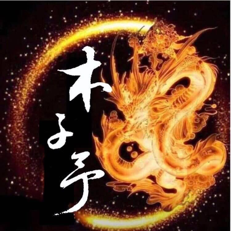✨️💥️木子予✨️