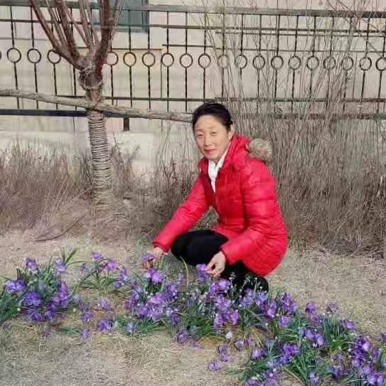 腊月的生活