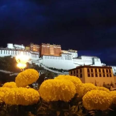 抽烟只抽炫赫门