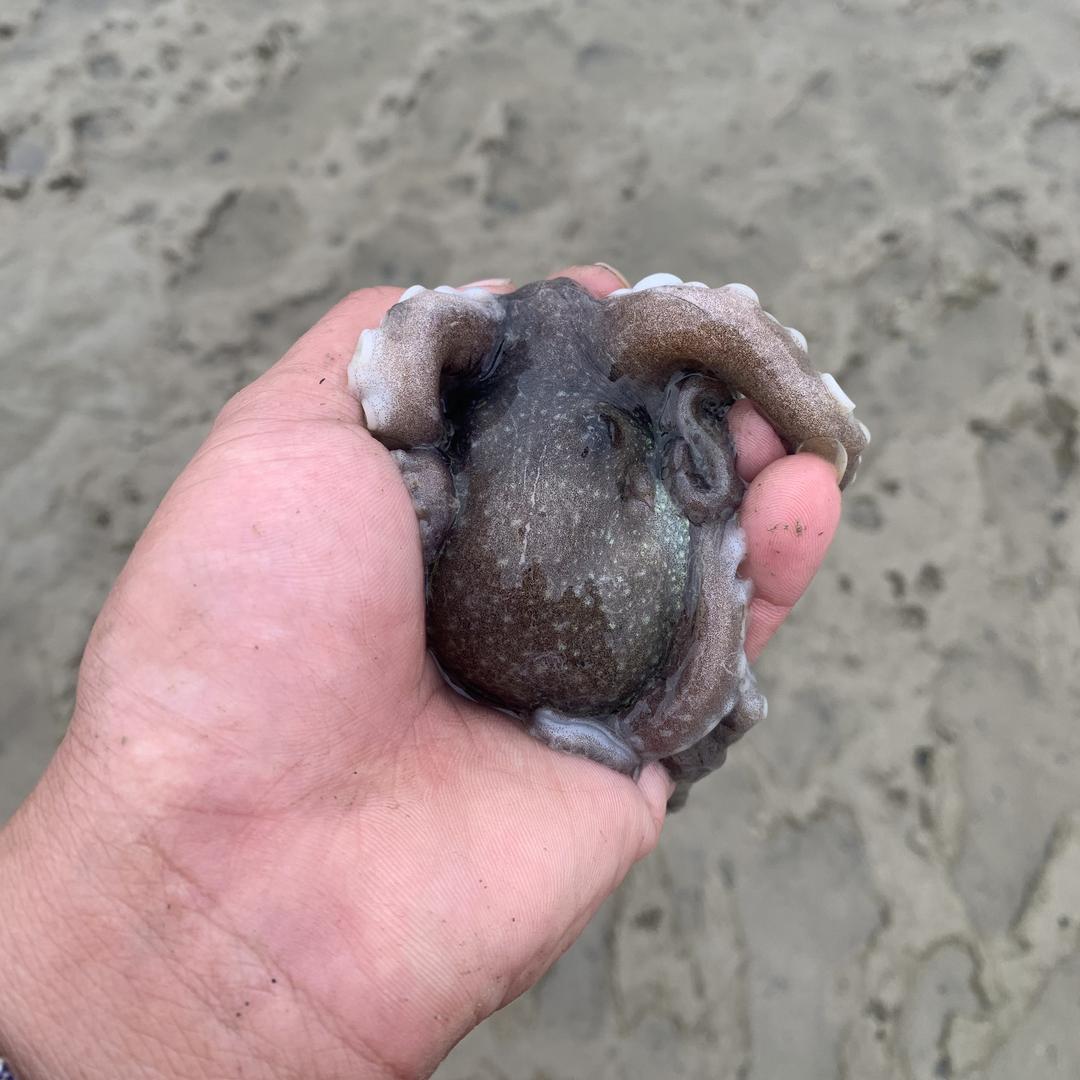 海边~人