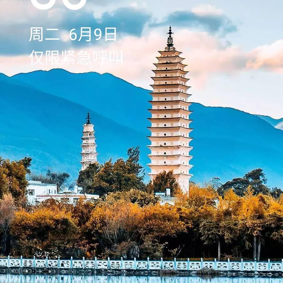 河南666