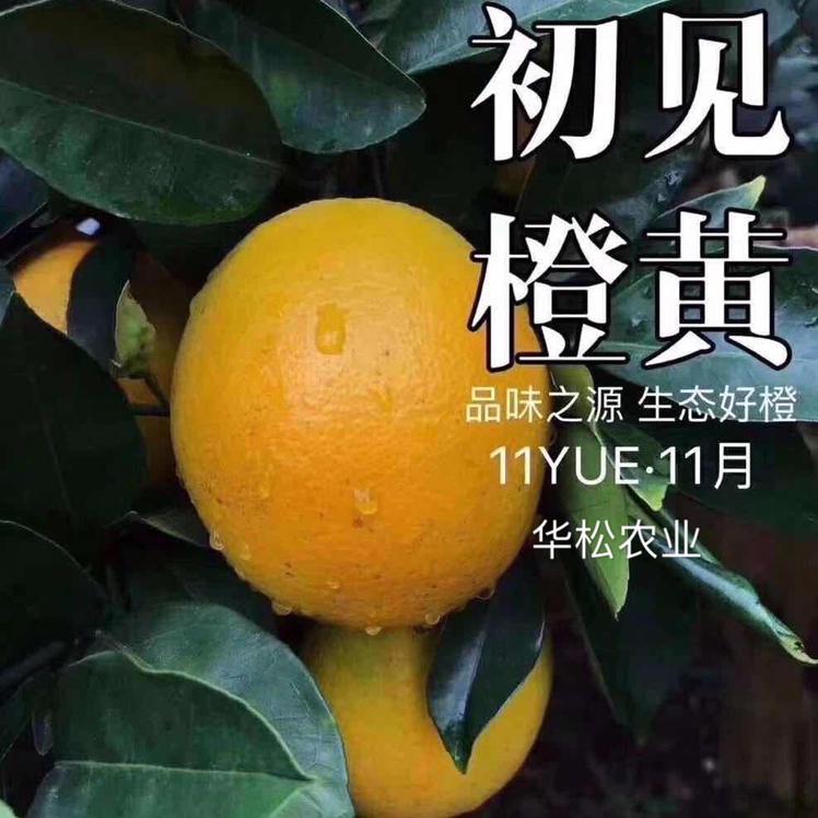 赣南华松农业