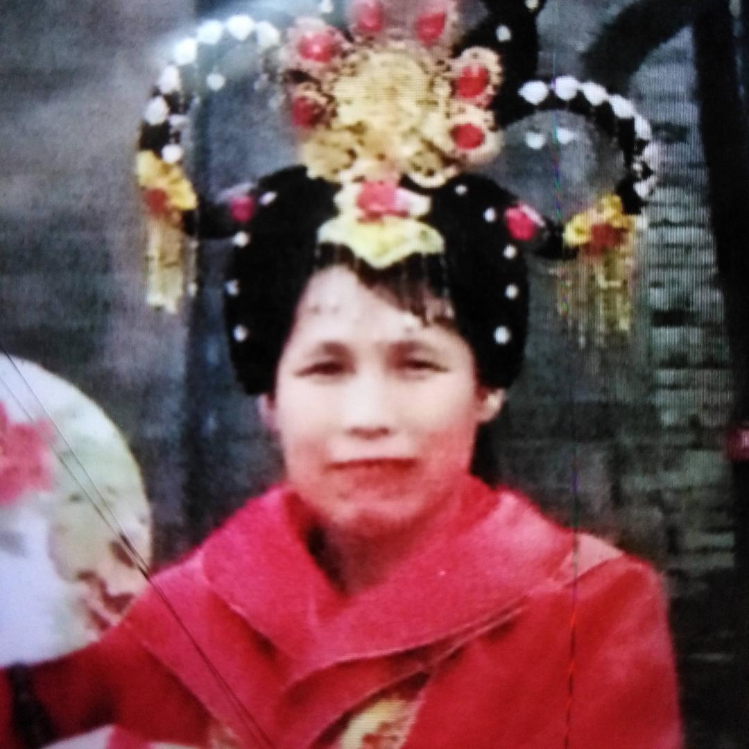 尘雁落彩虹