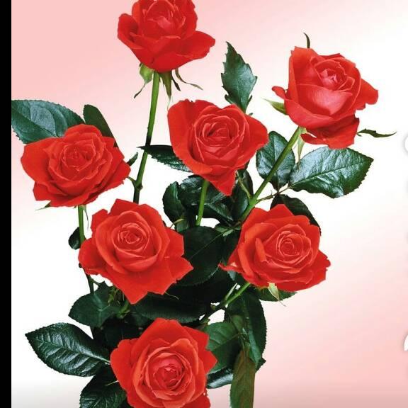 心想事成👣👣