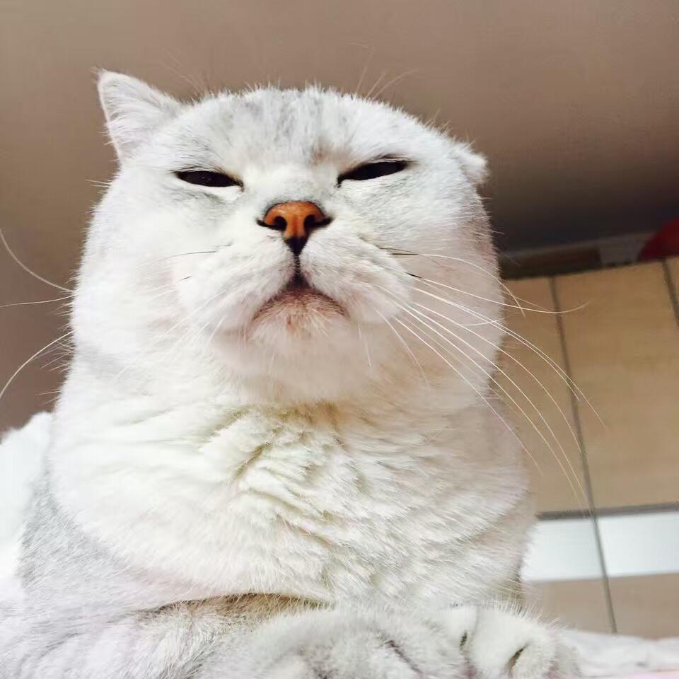 心若向阳✈️💪