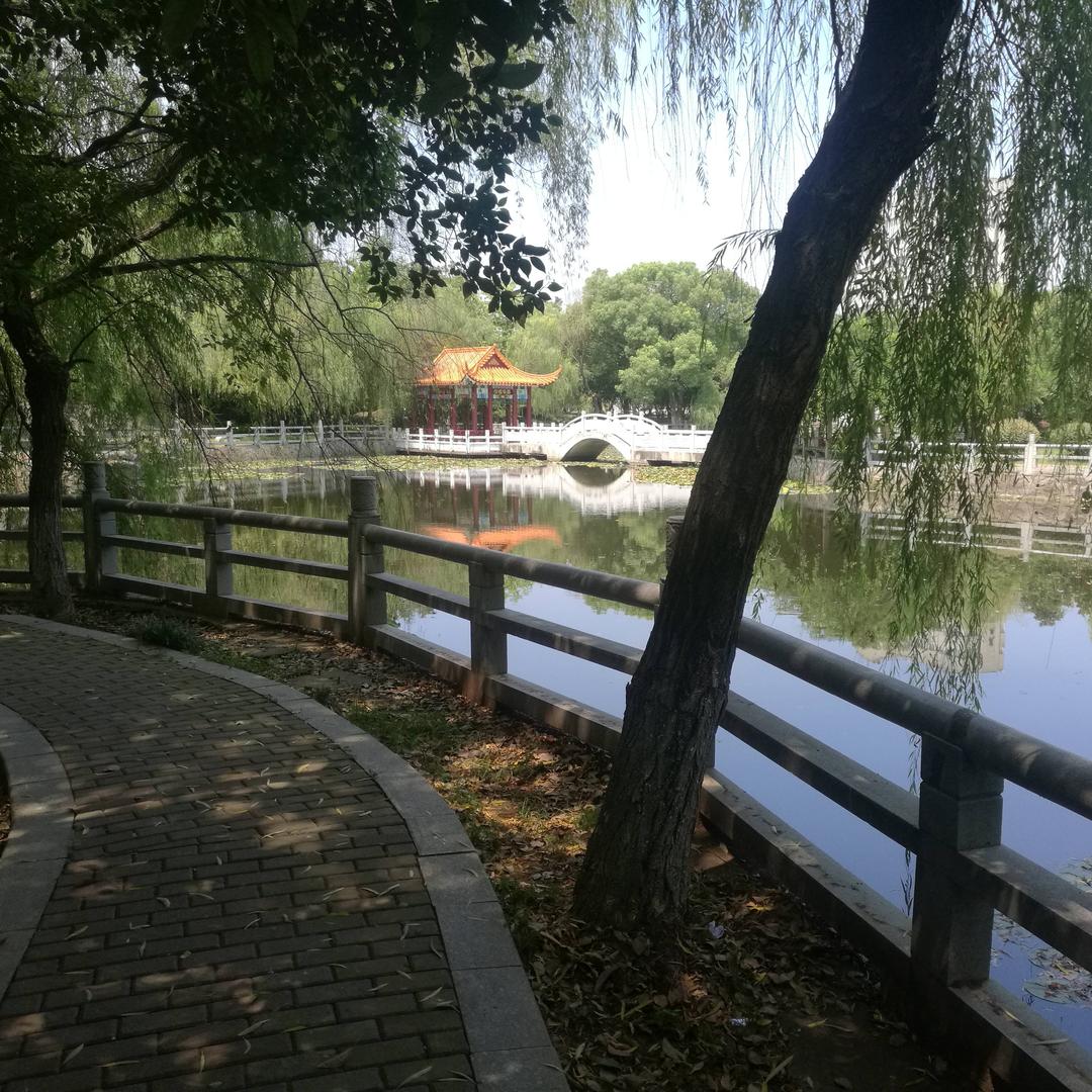 我们爱健身