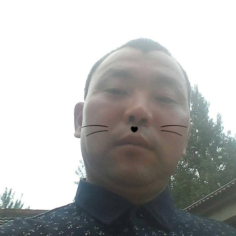狐狼001