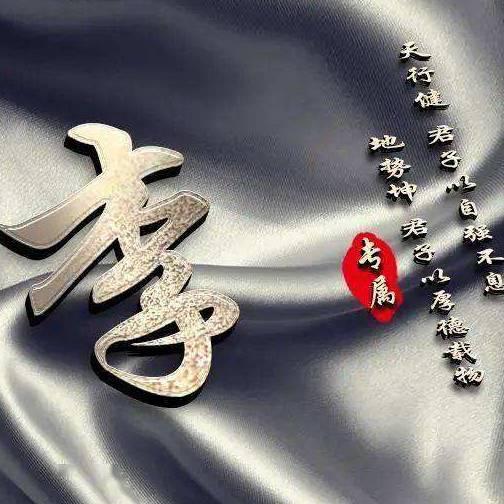 硬汉石头哥