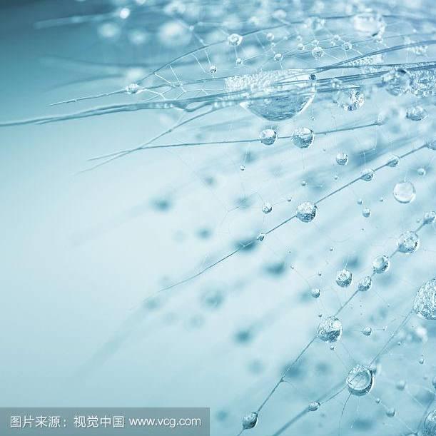公司里朩