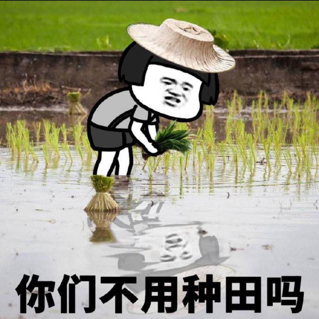 天天好心情