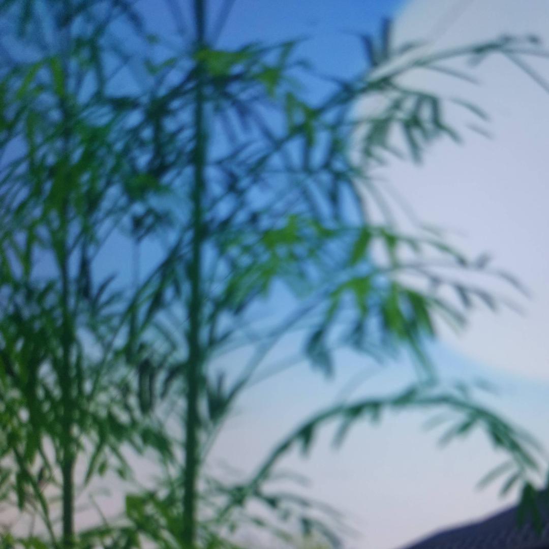 浪漫人生路
