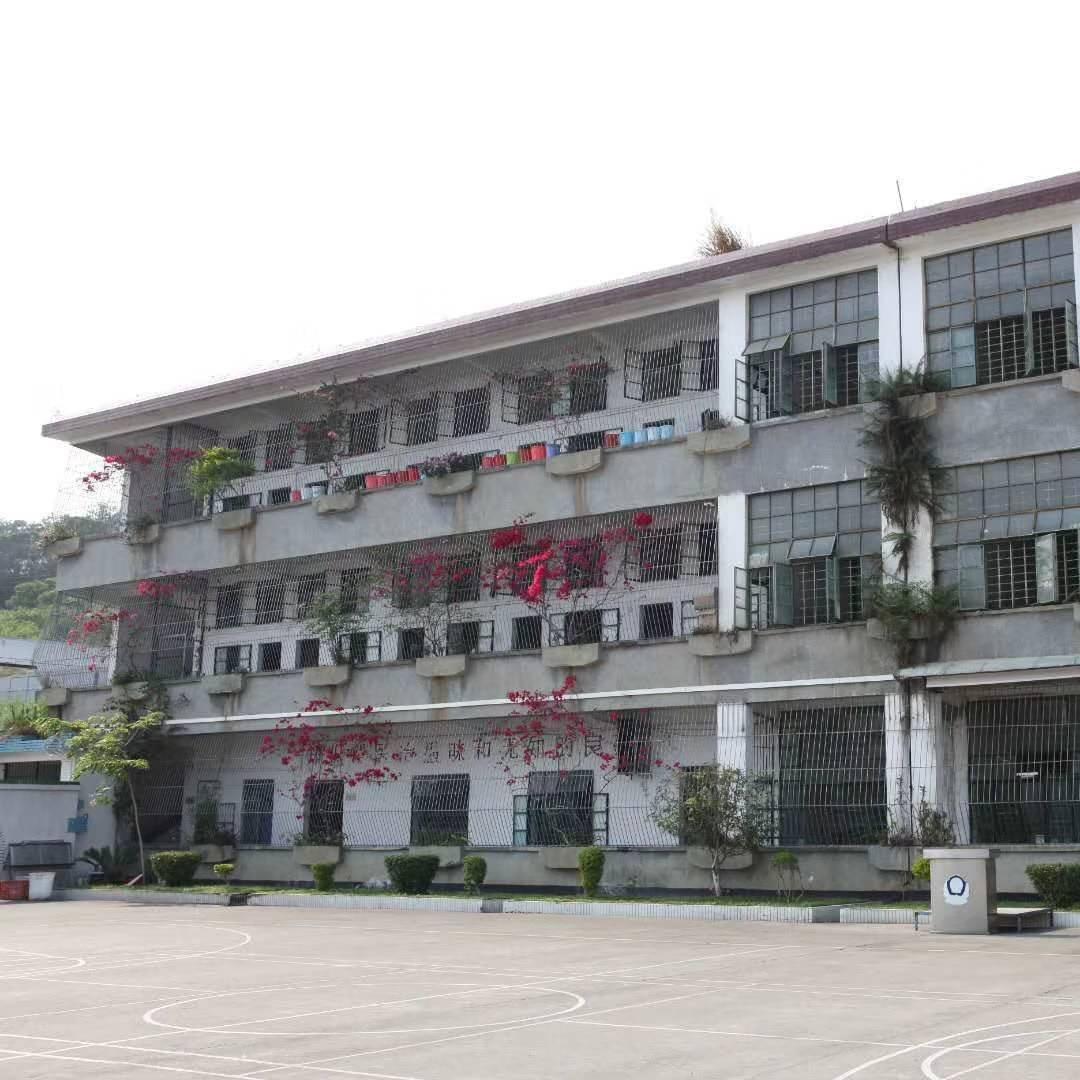 黄儿郎