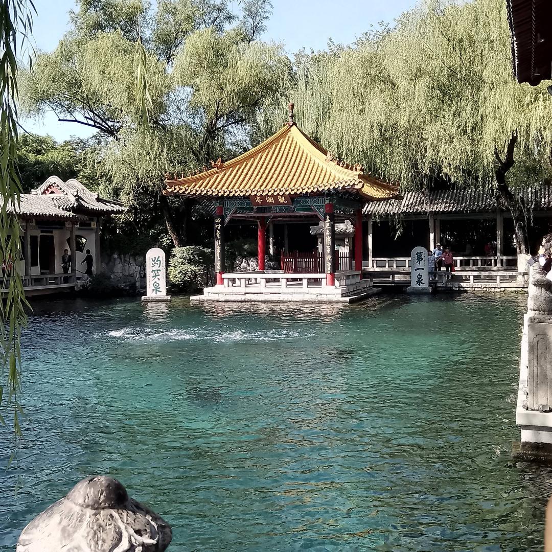 放飞梦想