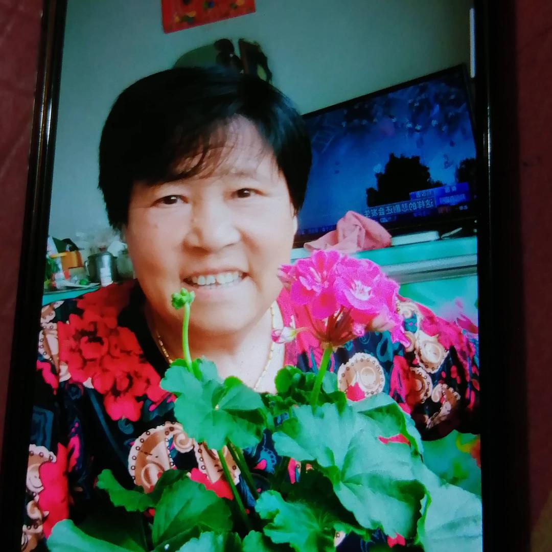 稳稳幸福919