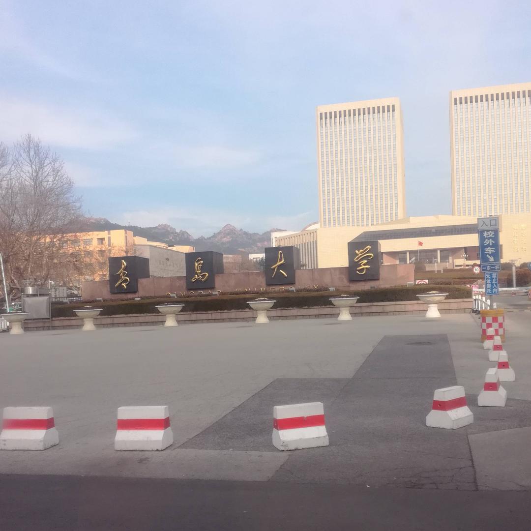 爱唱歌的中年大妈首播筹备中