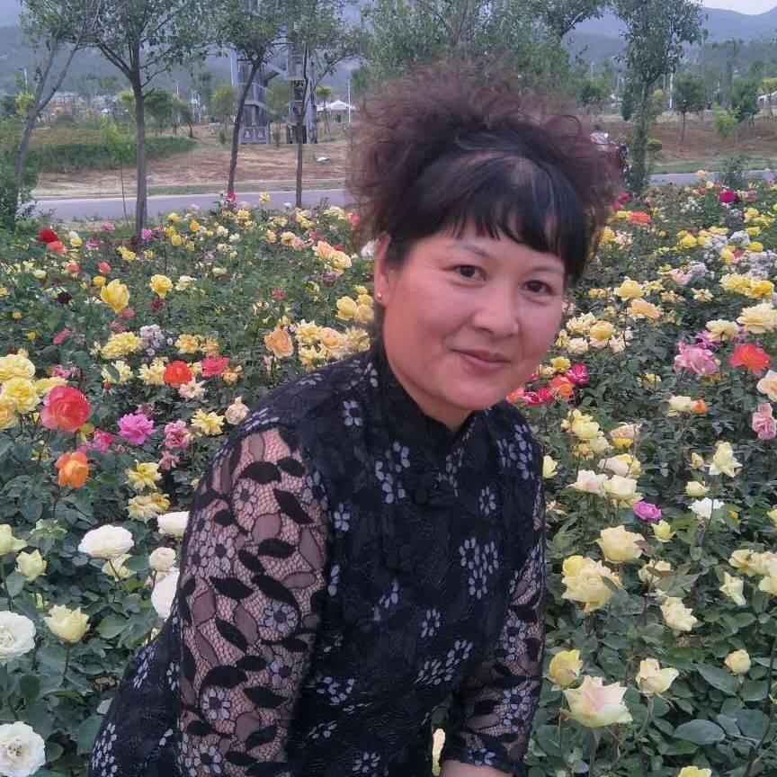 平安清闲灵芝