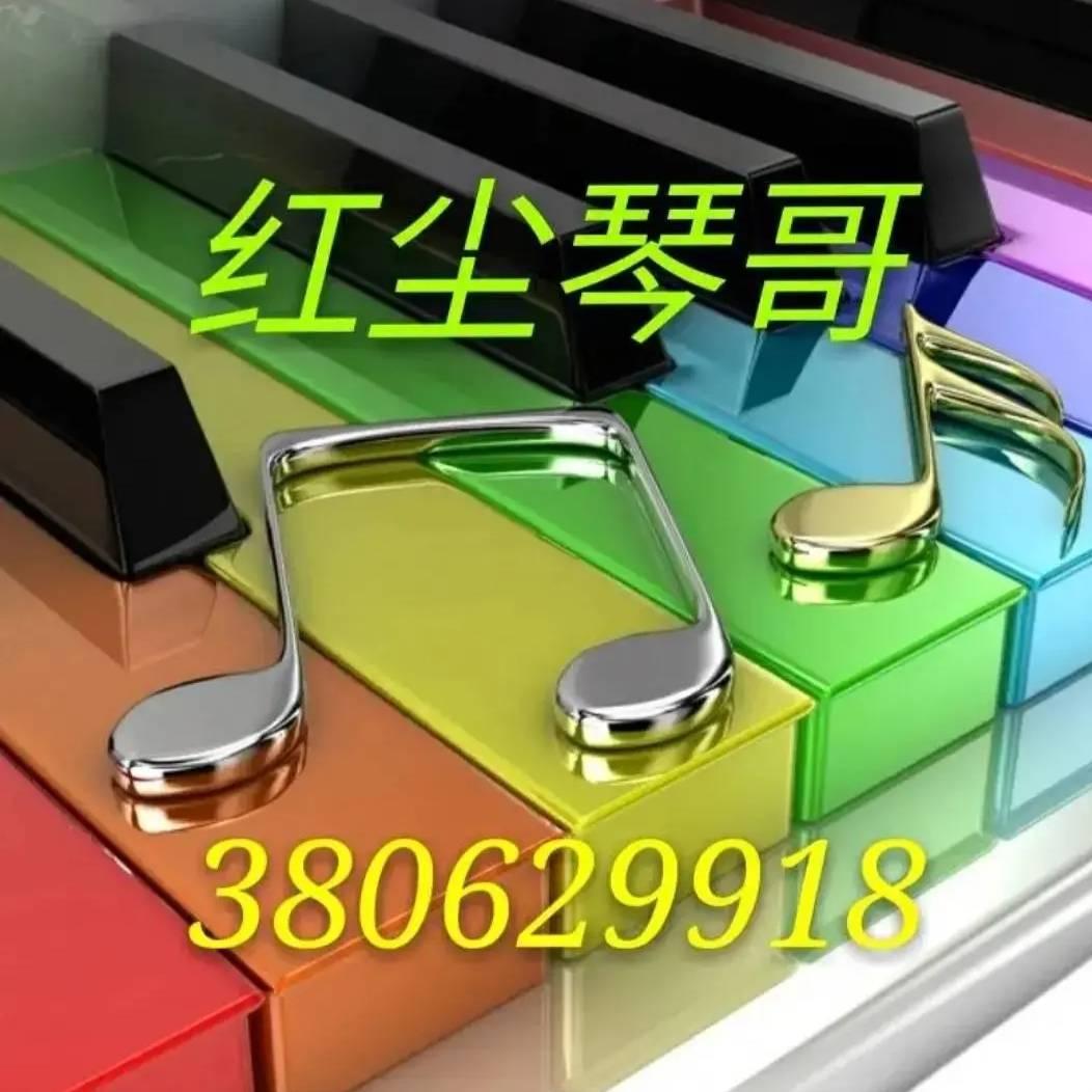 🎹红尘琴哥🎹