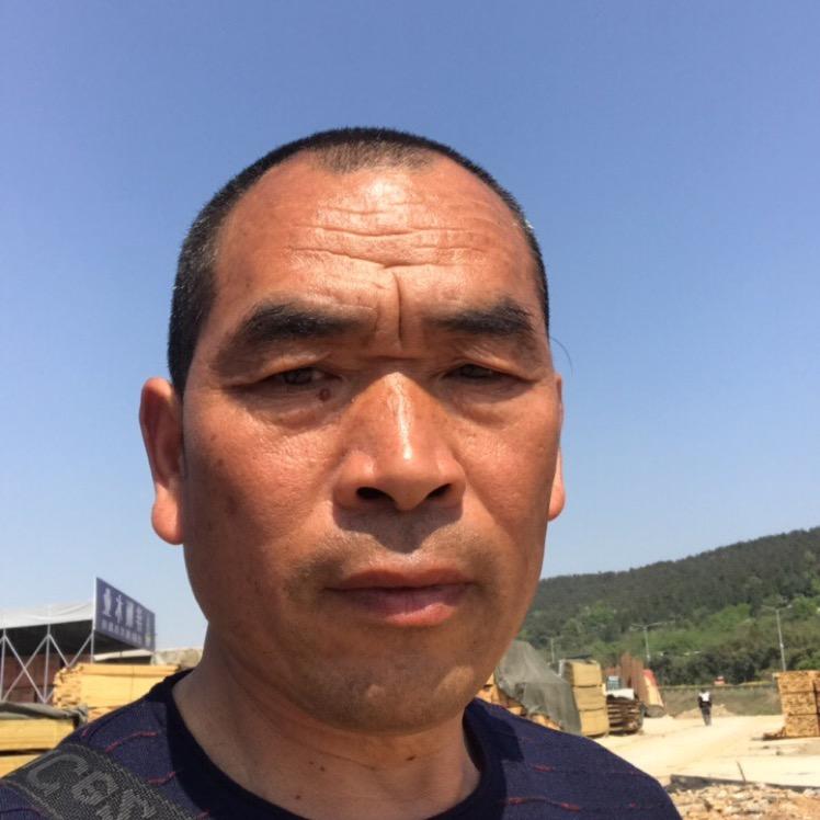 杨歌星木材绵阳市