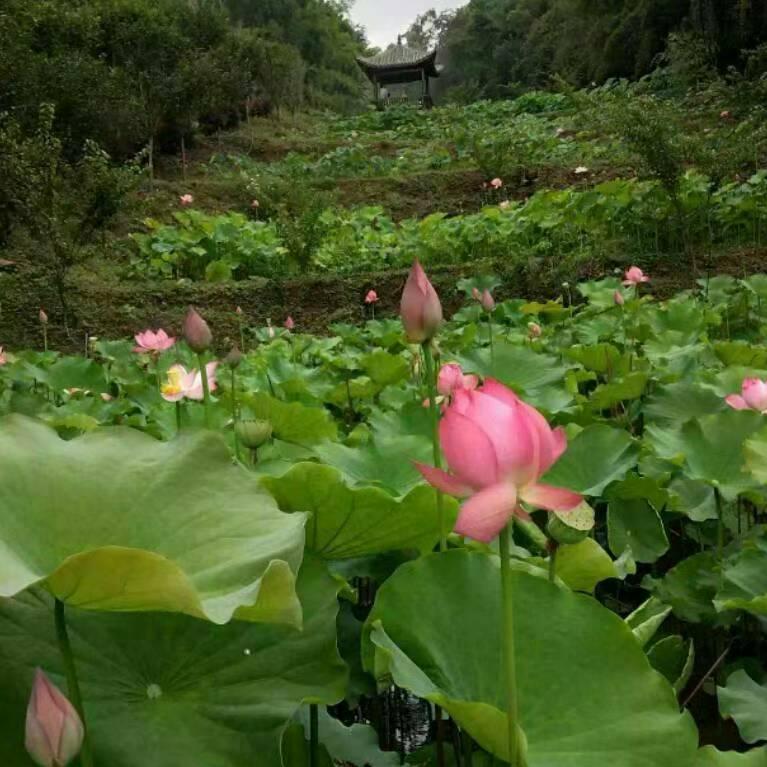遇上你是我的缘639