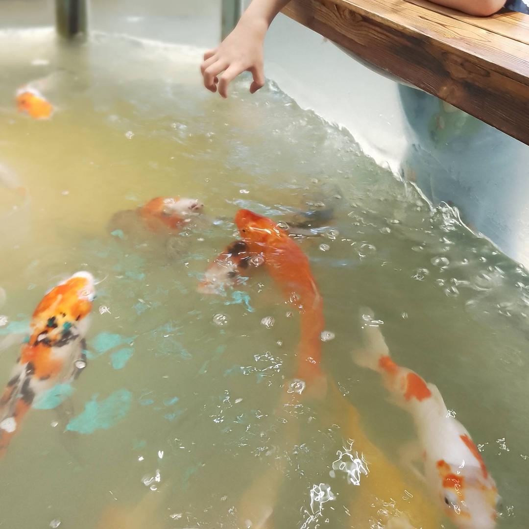 心如止水@