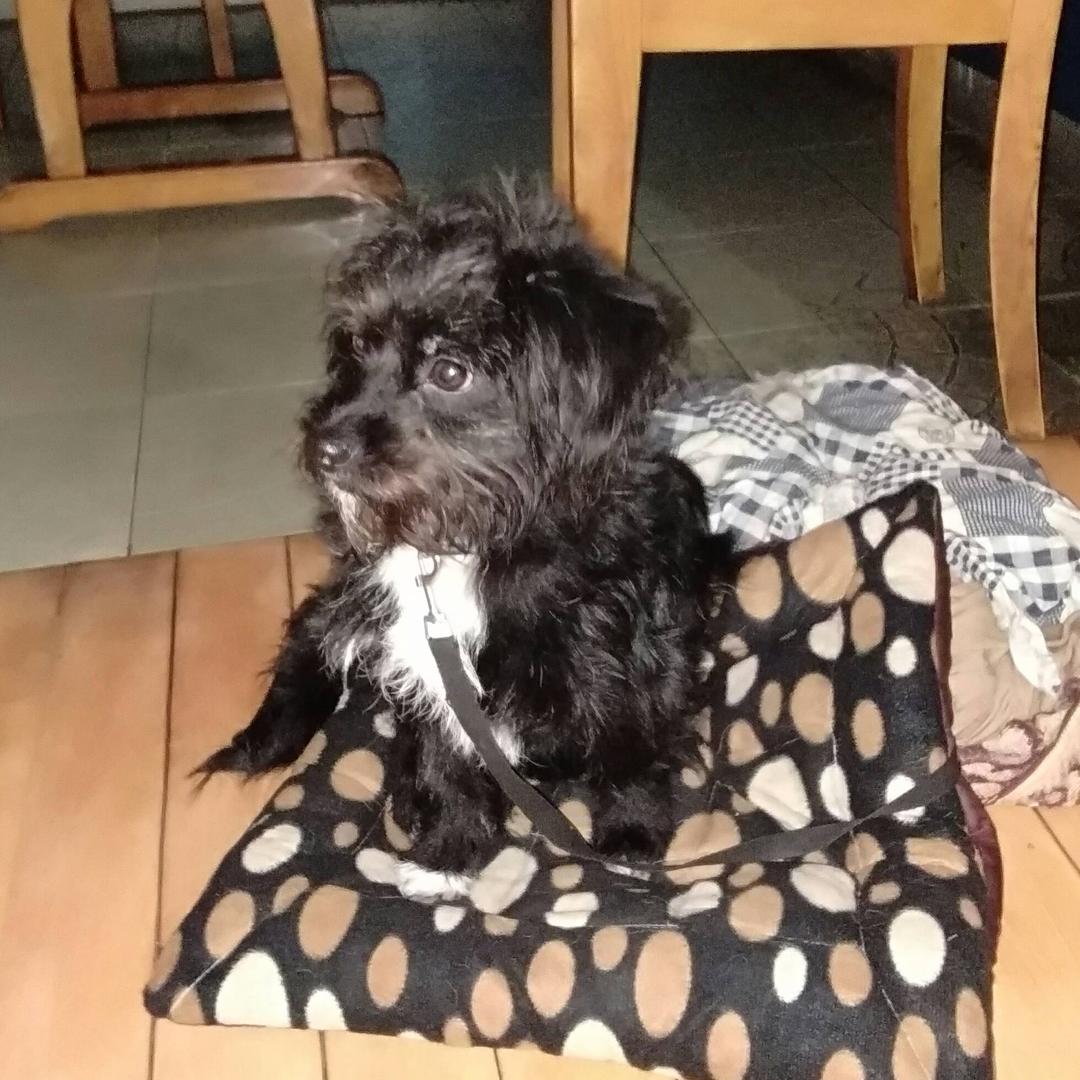 皇家马德里小兵兵