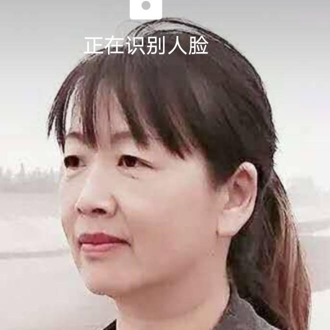 龙飞凤舞