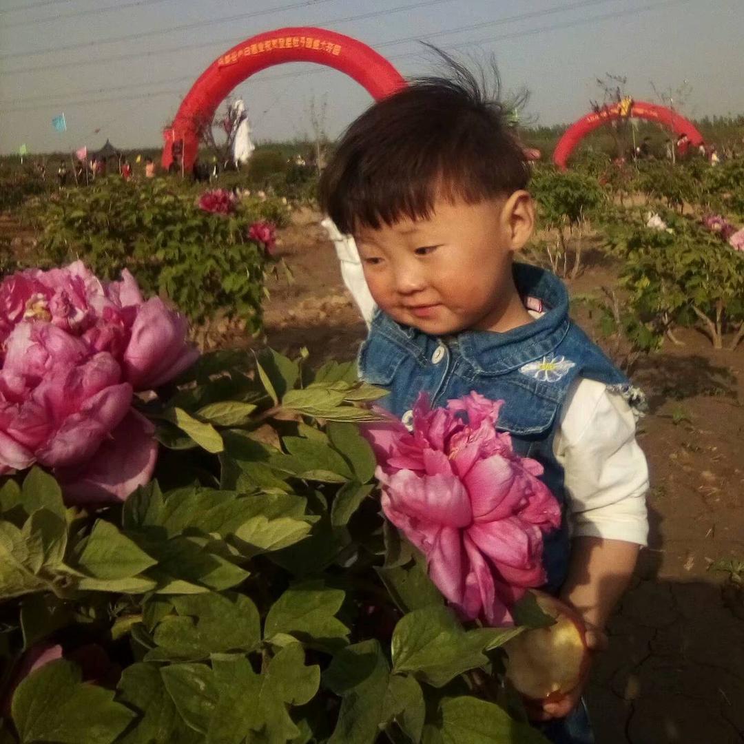 花好心情好
