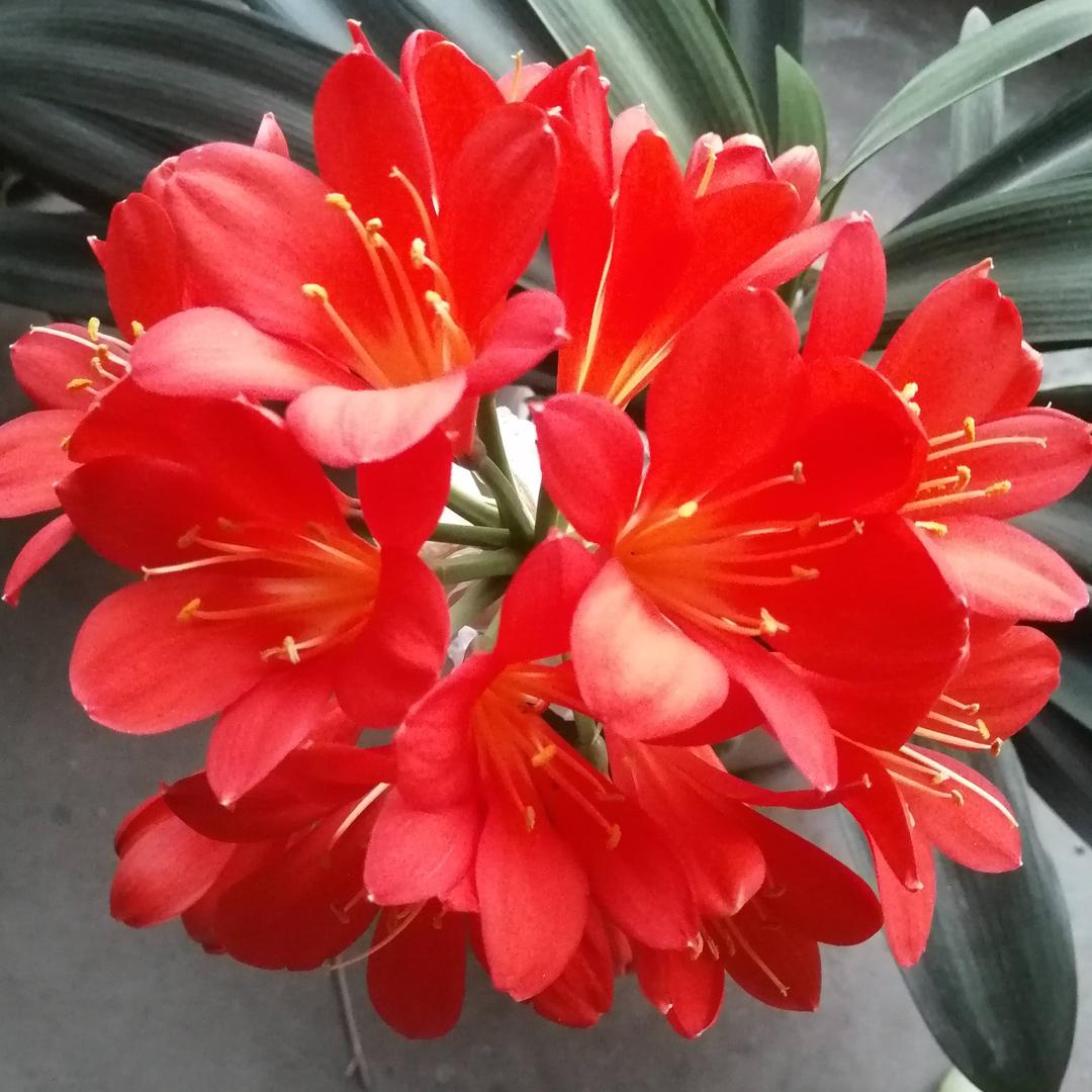 知足常乐平安是福