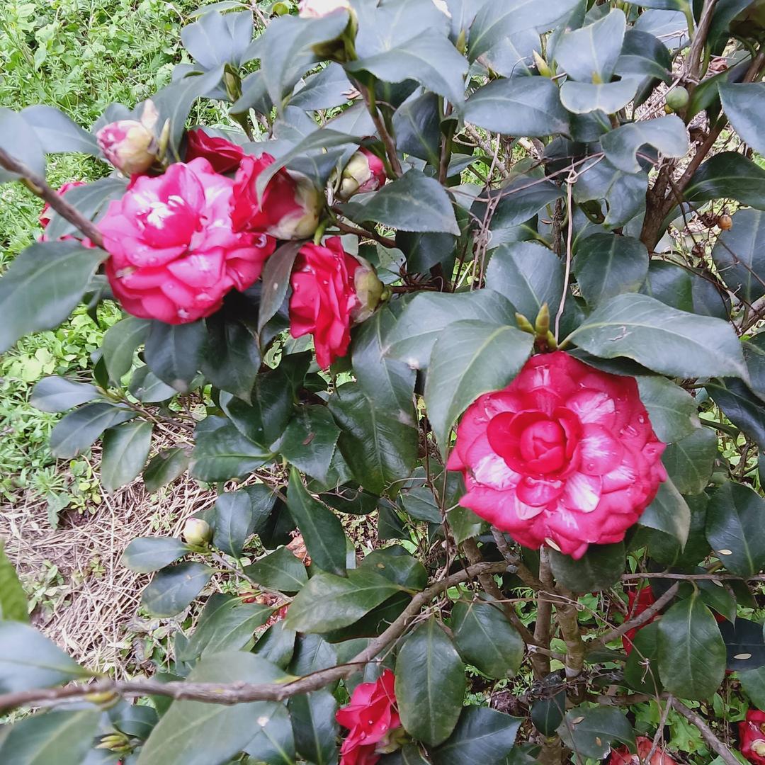 人生，如戏💔💔