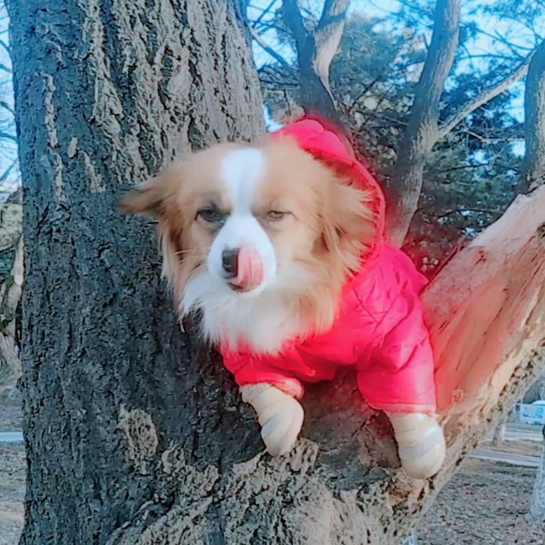 撅起小嘴💋🙏