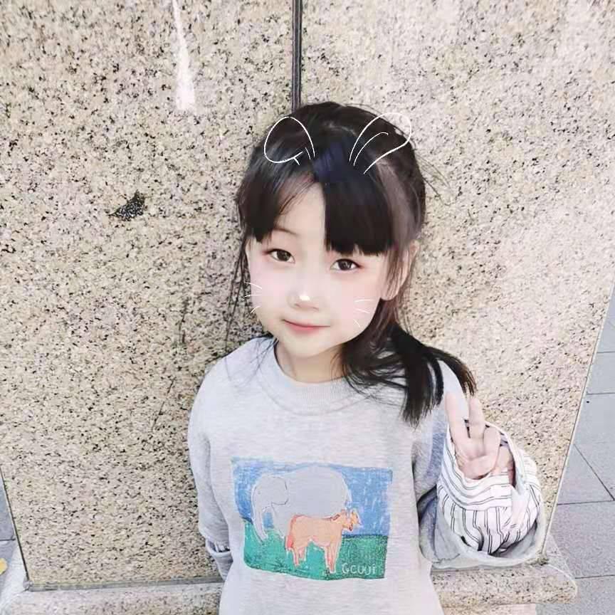 琴！