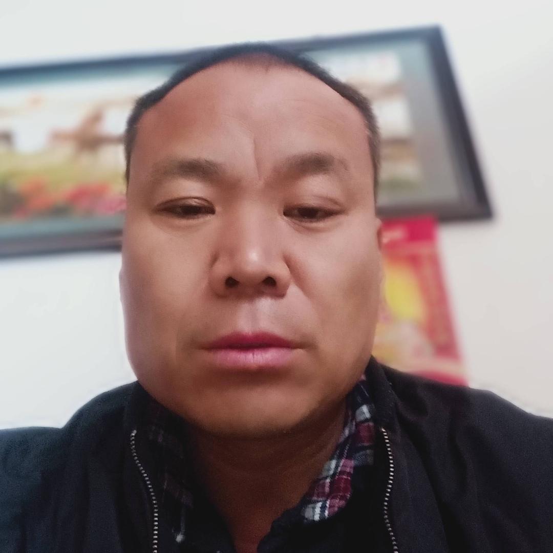 梦情