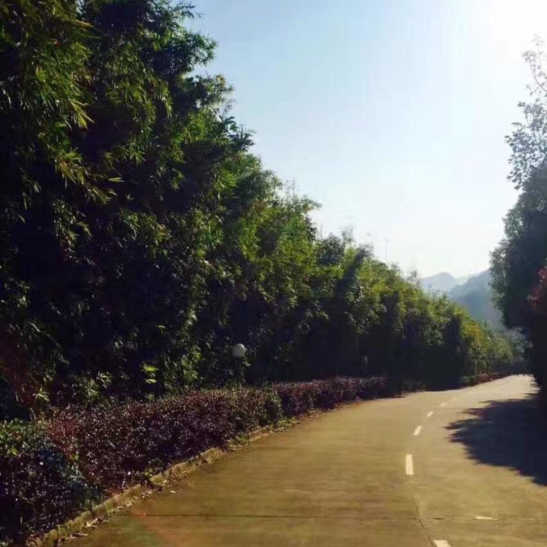 @小零