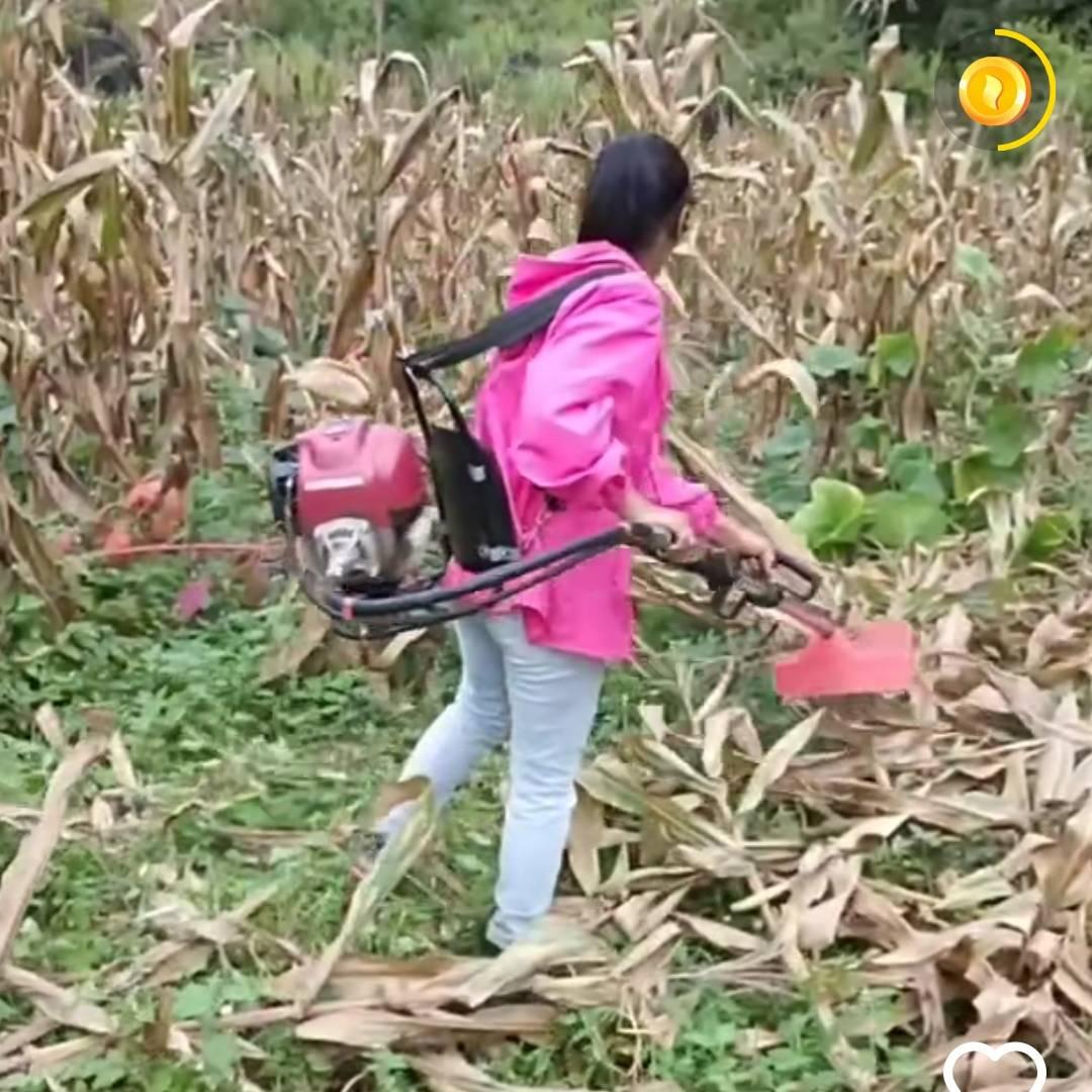 山里小不乖