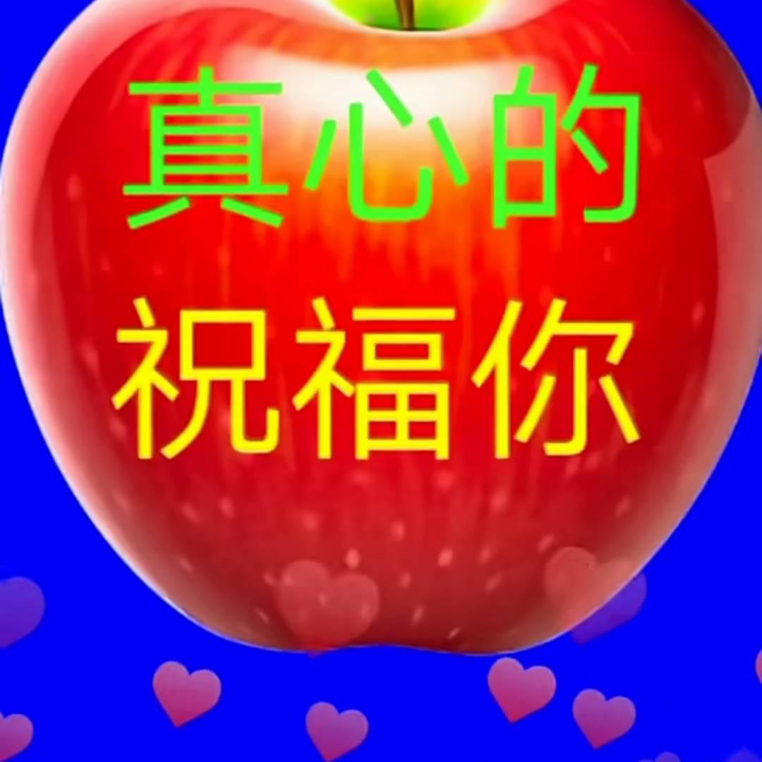用户88563219