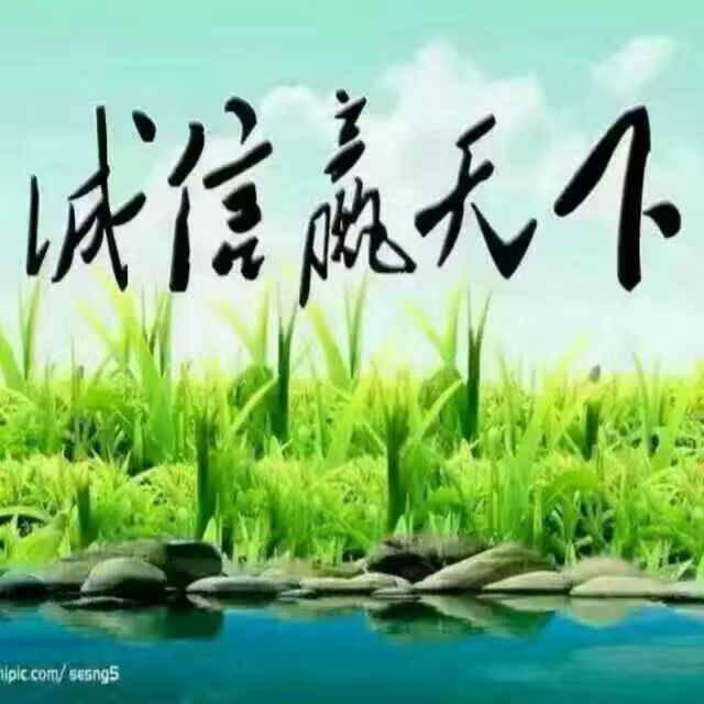 成哥